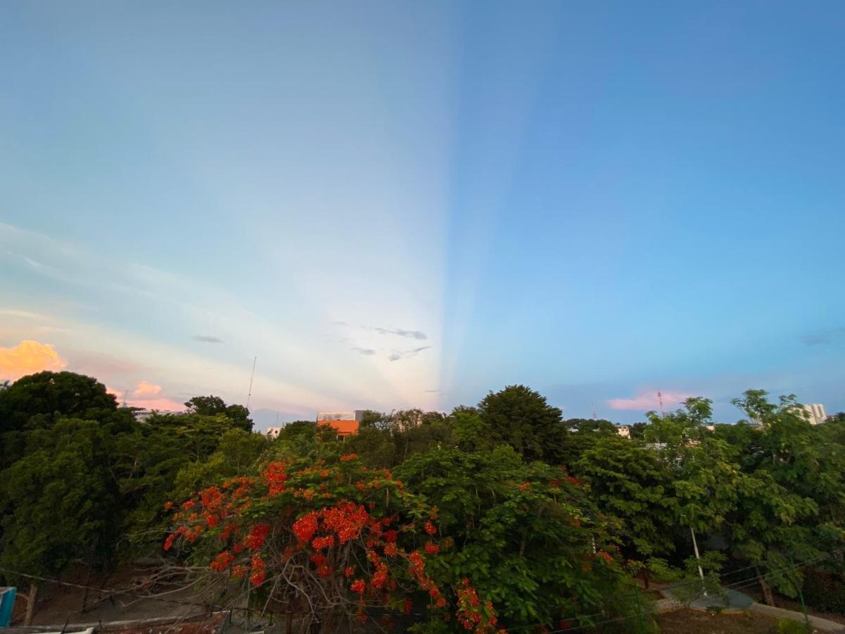 The Quetzal Bed and Breakfast Κανκούν Εξωτερικό φωτογραφία